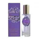 Love Spell - 30ml